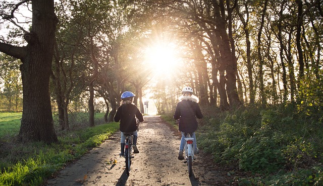 Two children riding bikes in a park.